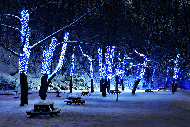winter snow photography examples