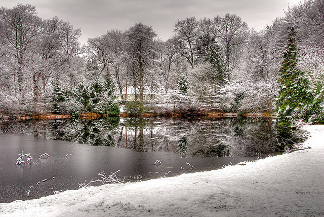 winter snow photography examples