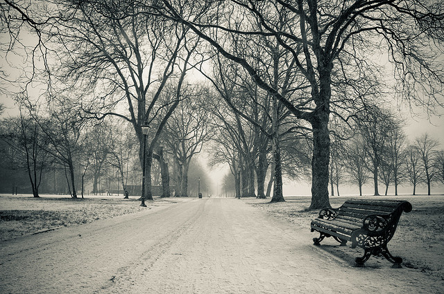 winter snow photography examples