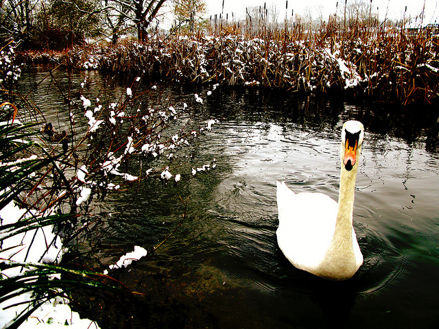 winter snow photography examples