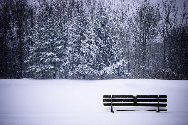winter snow photography examples