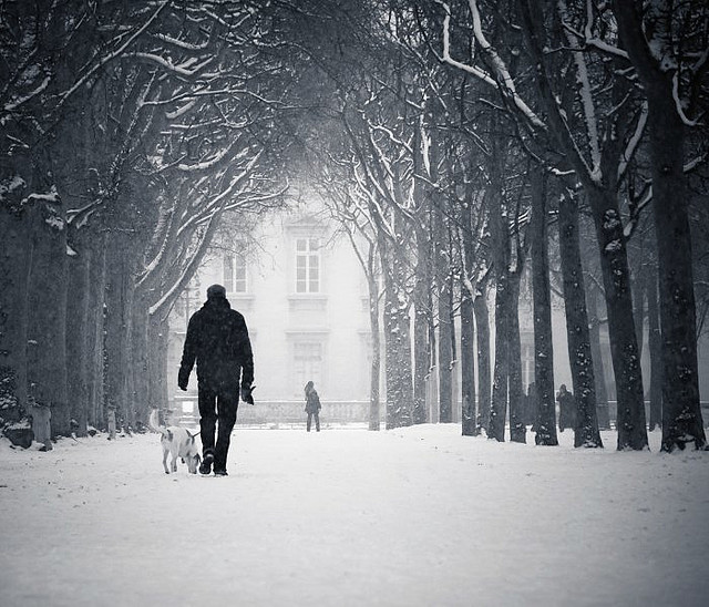 winter snow photography examples