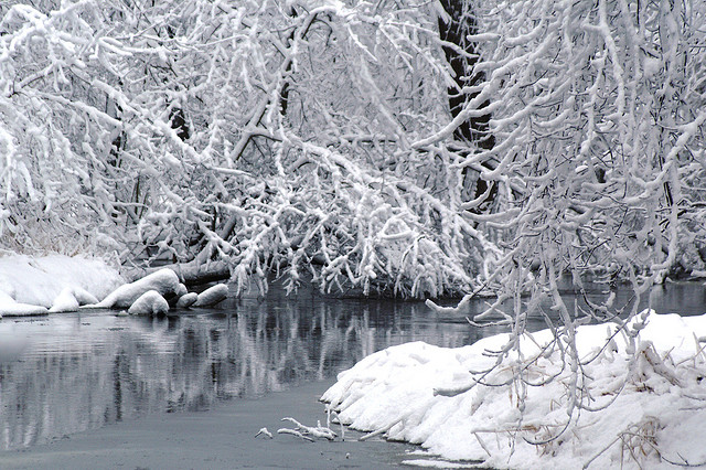 winter snow photography examples