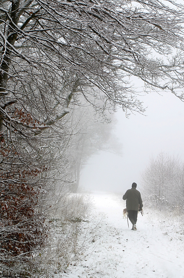 winter snow photography examples