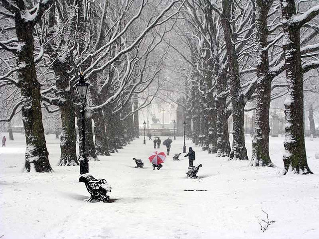 winter snow photography examples