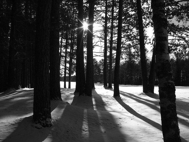 winter snow photography examples