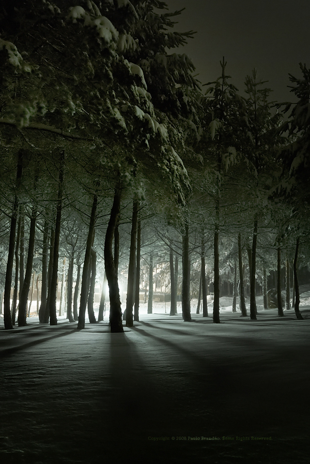 winter snow photography examples