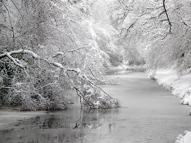winter snow photography examples