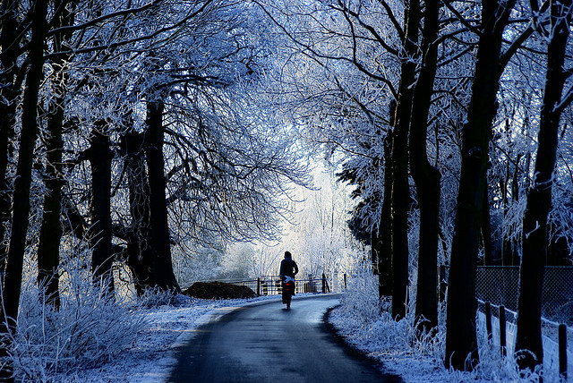 winter snow photography examples