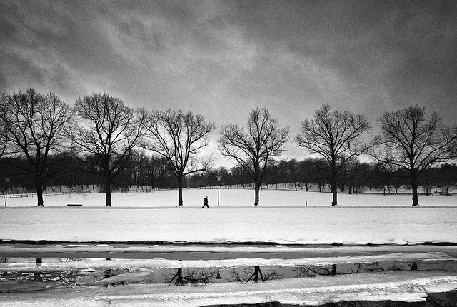 winter snow photography examples