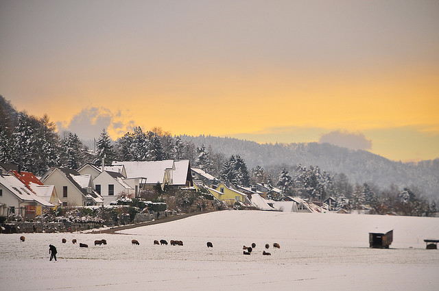 winter snow photography examples
