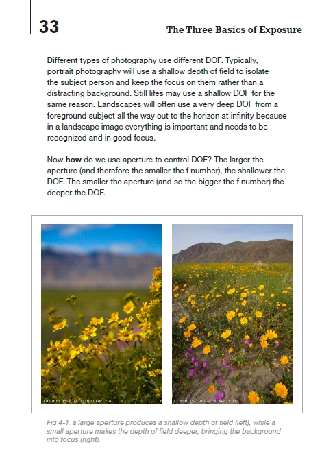 photography beginners book