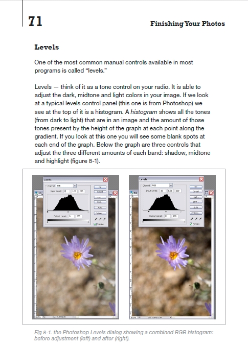 photography beginners book