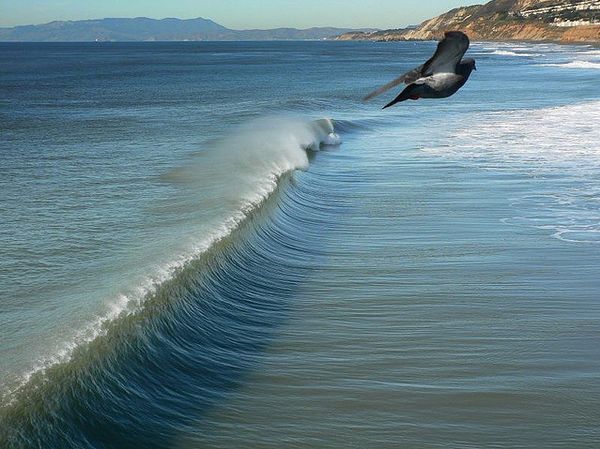 water photography