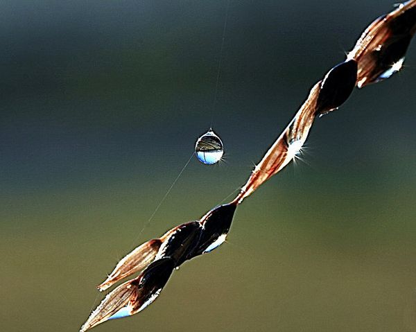 water photography