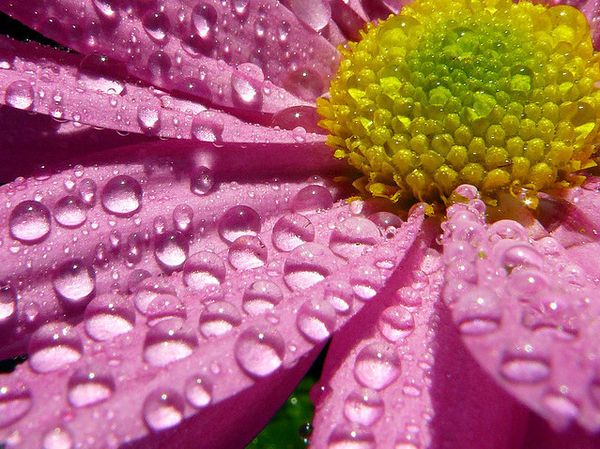 water photography