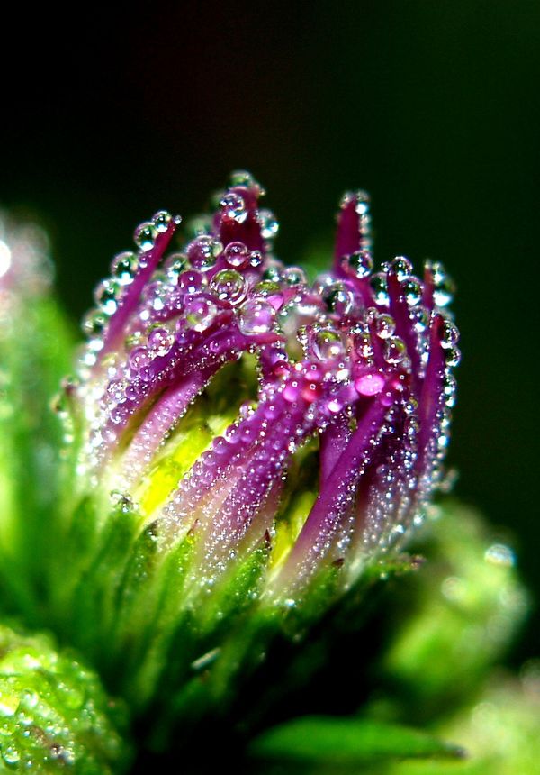 water photography