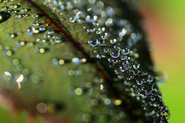 water photography