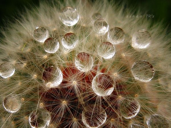 water photography