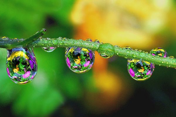 water photography