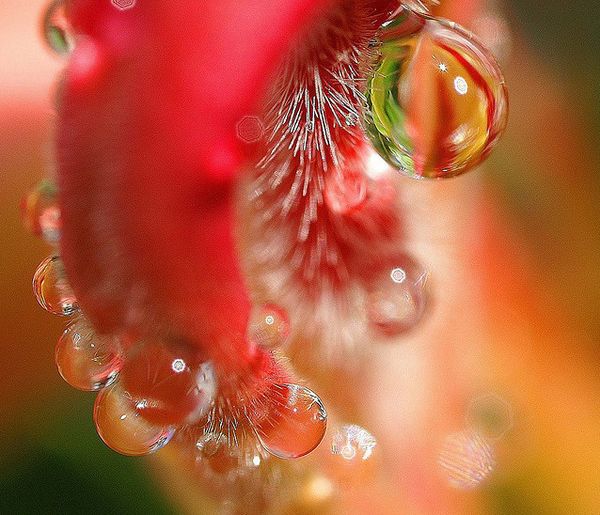 water photography