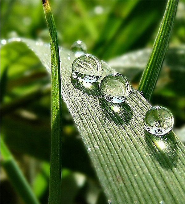 water photography
