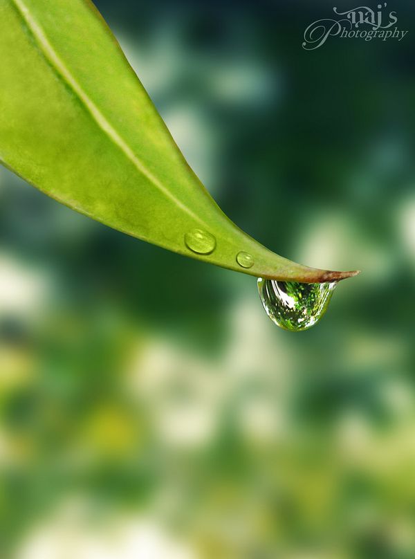water photography
