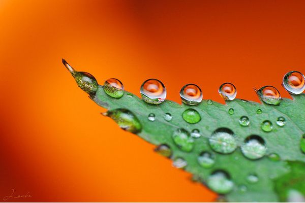 water photography
