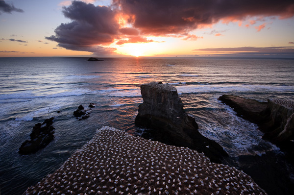 30 second shutter photography