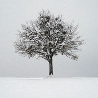 Sonic Slideshow #2: Winter – Submit Your Photo!