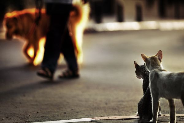 Street Photography