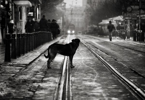 Street Photography