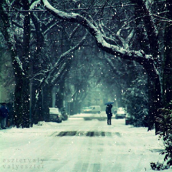 Street Photography