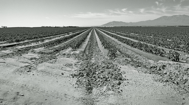 farm and agrictulture technology