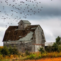 The Complete Guide to Shooting Farming & Agriculture