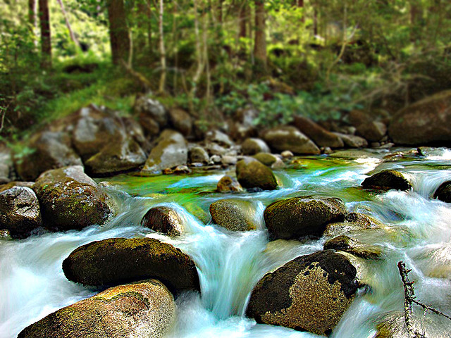 photograph movement in water
