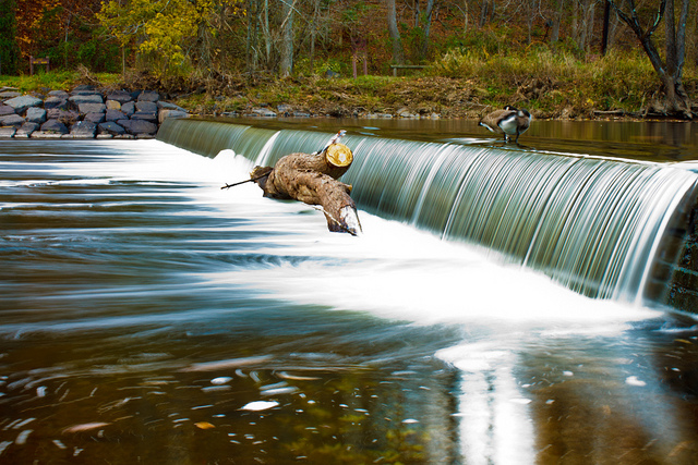 photograph movement in water