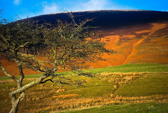 wilderness photography