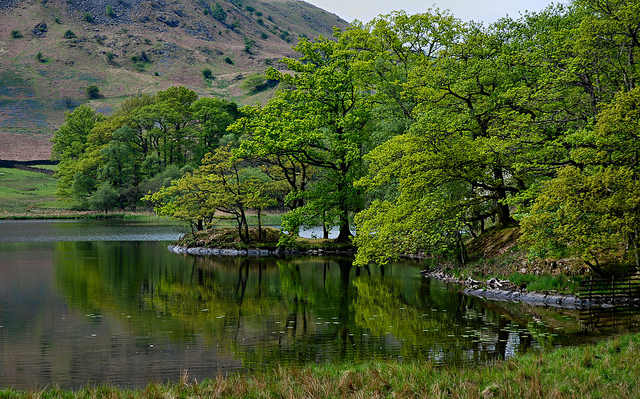 wilderness photography