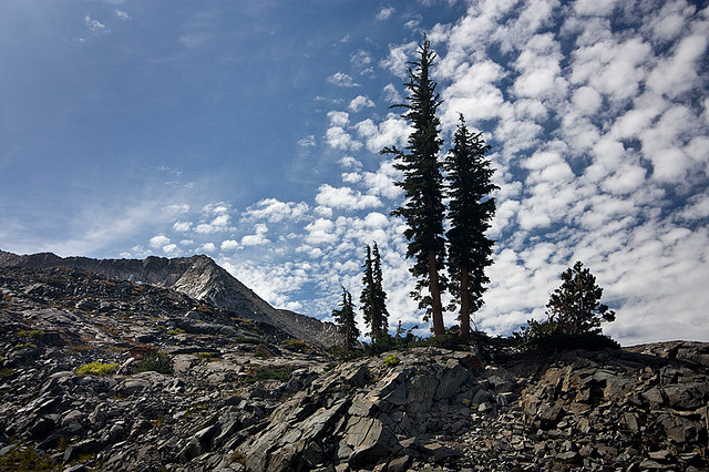 wilderness photography