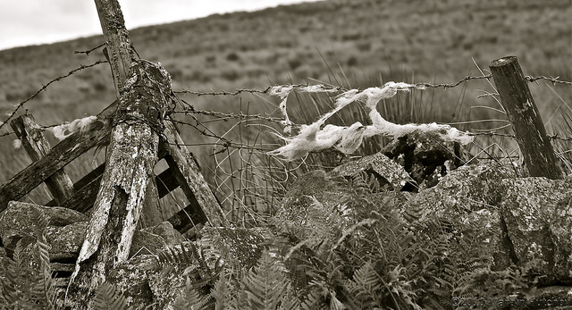 wilderness photography