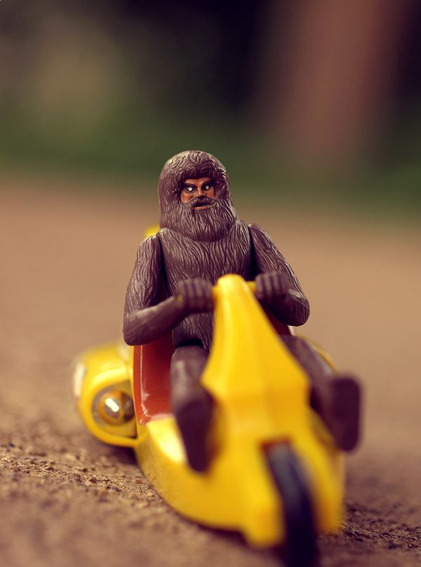 Toy Photography
