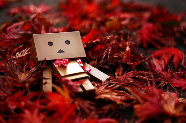 Toy Photography