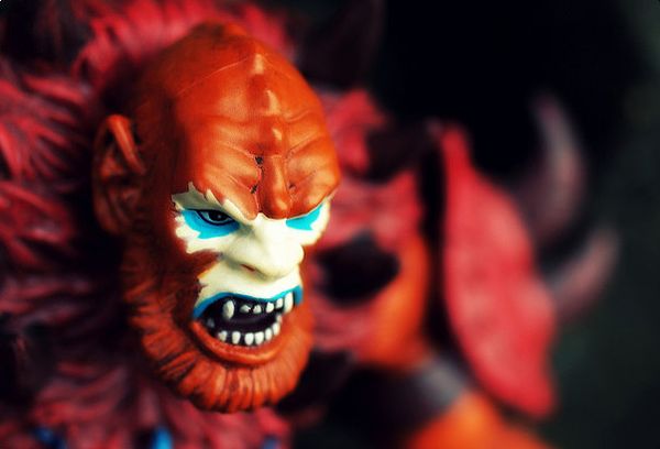 Toy Photography