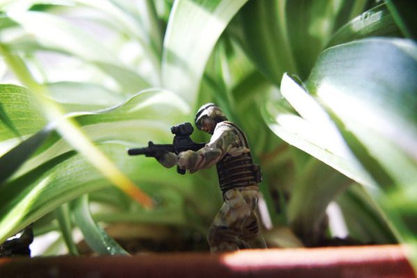 Toy Photography