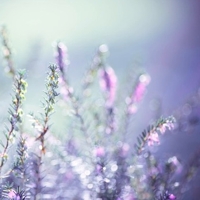 Winners Announced: 10 Beautiful Presets and Actions Up For Grabs