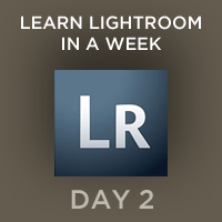 Learn Lightroom in a Week – Day 2: Import And Viewing