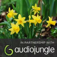 Sonic Slideshow #4: Spring – Submit Your Photo!