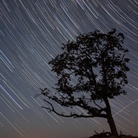 Quick Tip: How to Capture the Beauty of Stars