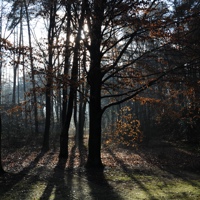 Friday Photo Critique #80